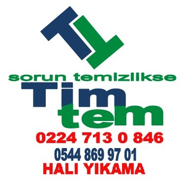 Tim Tem