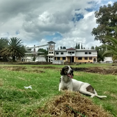 El Ilalo Tobogan Picnic Ground