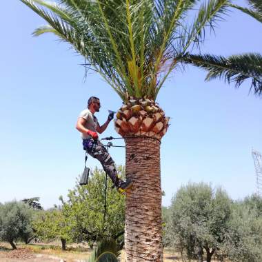 Γιώργος Ντακάκης