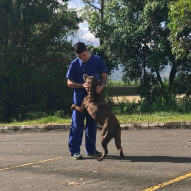 Edison Sanchez Medico Veterinario