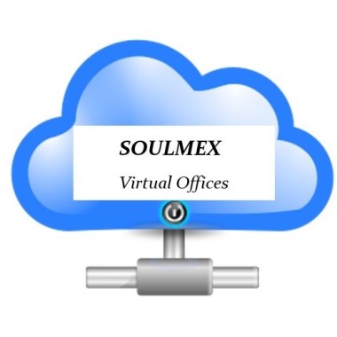 SOULMEX