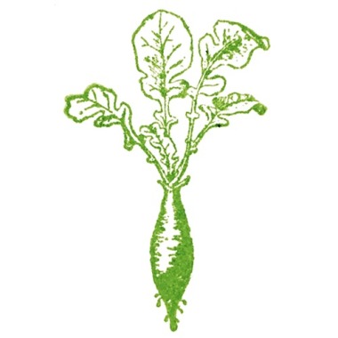 Radish Marketing