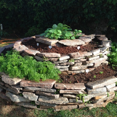 Ambiental Bio Consult