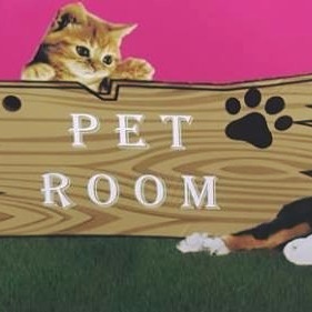 Veterinaria Pet Room