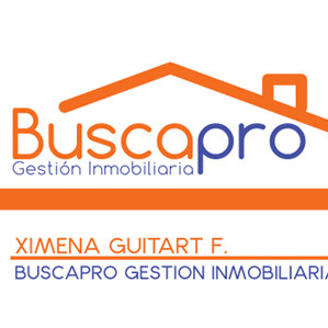 BUSCA PRO LTDA