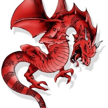 P.P.U.H. DRAGON Maciej Przybył