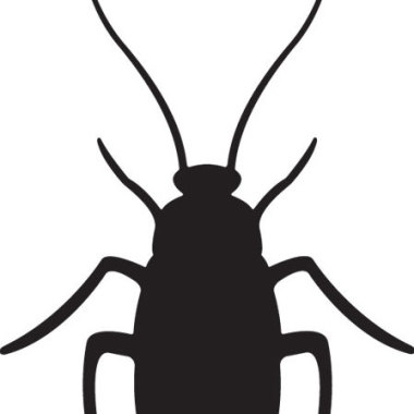 Shakti Pest Control