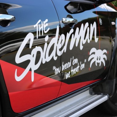The Spiderman Marlborough