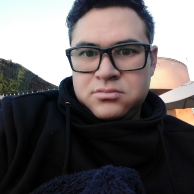 Contruccion koala