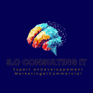 S.O Consulting IT