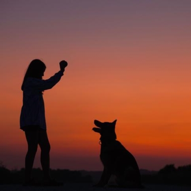 Hope Peluquería y Educación Canina