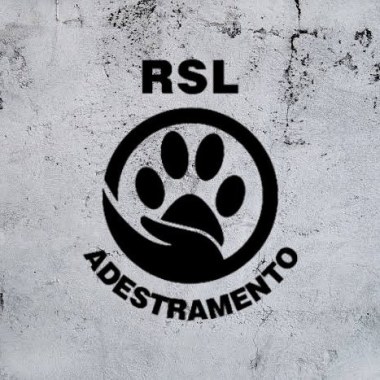 Profissional: Rsladestramento