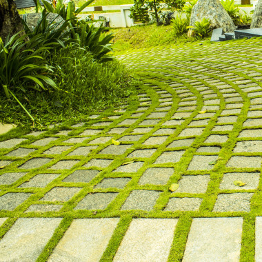 Greencare Solutions