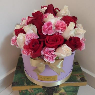 Momentos Flores y Eventos