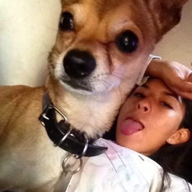 Happy pets