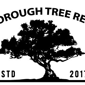 Tree Removal Scarborough
