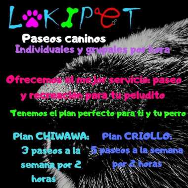 LOKIPET