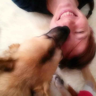 Pfotenglück Hundetraining