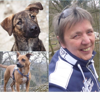 Hundeschule Face2Face
