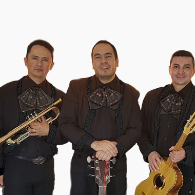 Mariachi sp brasil