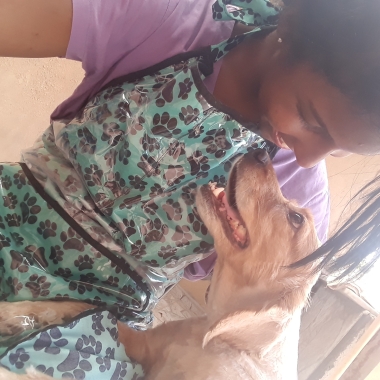 Imperadog Banho e Tosa Domiciliar