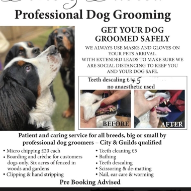 Done ﹠ Dusted Professional Dog Groomers
