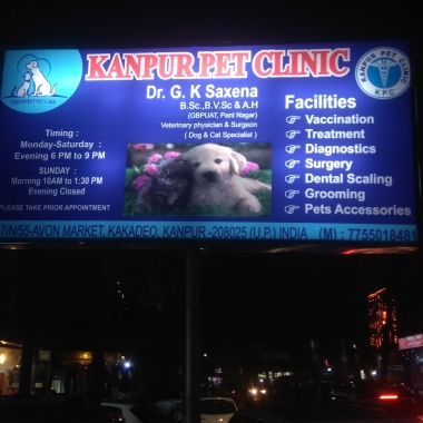 KANPUR PET CLINIC KAKADEO KANPUR