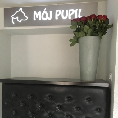 Salon pielęgnacji psów i kotów Mój pupil