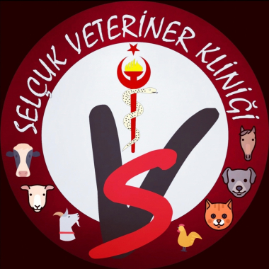 KAHRAMANMARAŞ VETERİNER - Selçuk Veteriner Kliniği