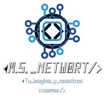 MS NETWORT