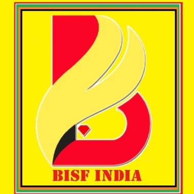 Brilliant Intelligence Security Force