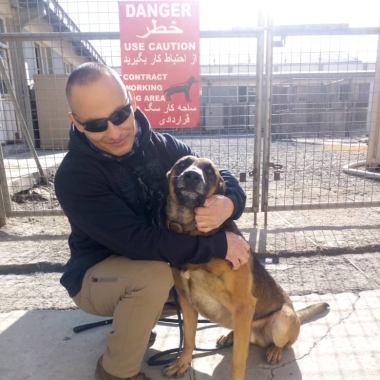 K9TRAINING