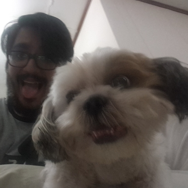 Doggy daycare
