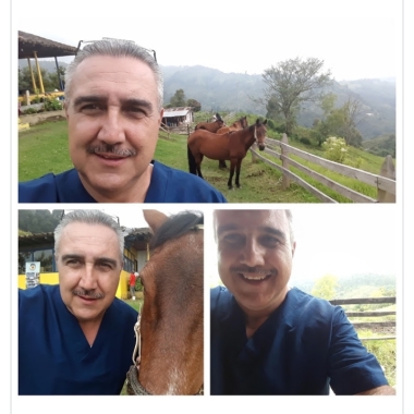 Pets animal