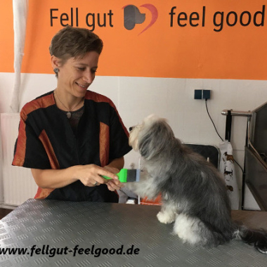 Fell gut - feel good