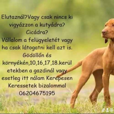 Kovácsné Katona Eszter