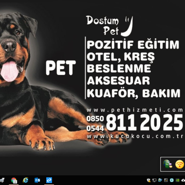 Mutlu k.