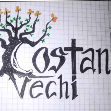 S.c. COSTAN VECHI s.r.l.