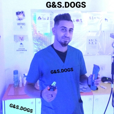 G﹠s.dogs