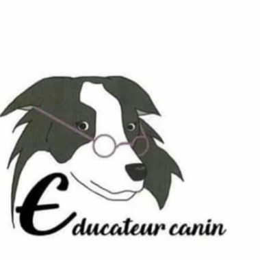 Elodie éducation canine