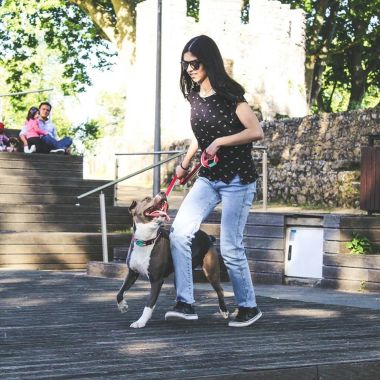 Comportamento canino, Dog Walking & Pet Sitting
