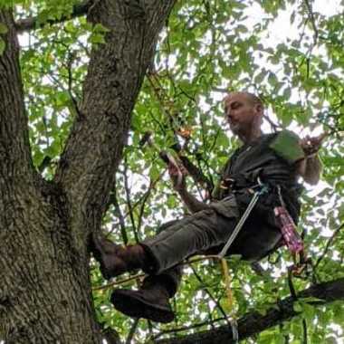 Arbor Vitae