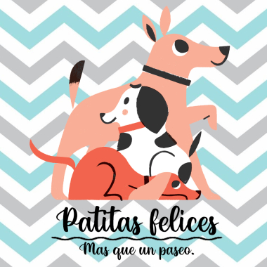 Patitas felices, más que un paseo.