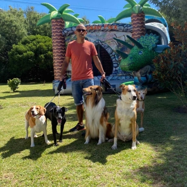 Good Friends Dog Walker
