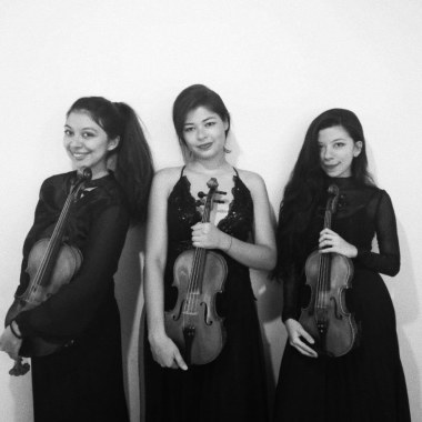 Harmony String trío