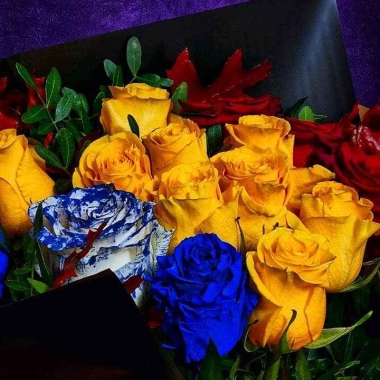 CASA GIULIA FLOWERS NON STOP BUZĂU