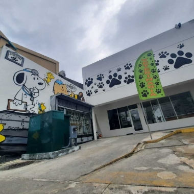 AMEvets