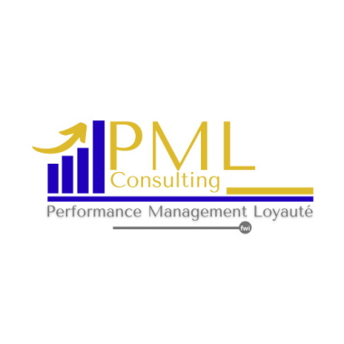 PML CONSULTING FWI