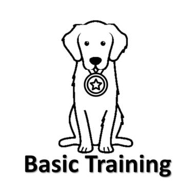Basic Training