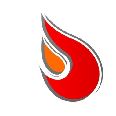FlameSpeed SARL